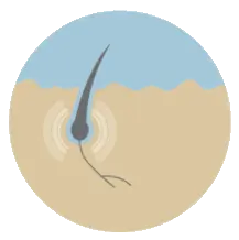 Repair stage of Thairapy hair growth results